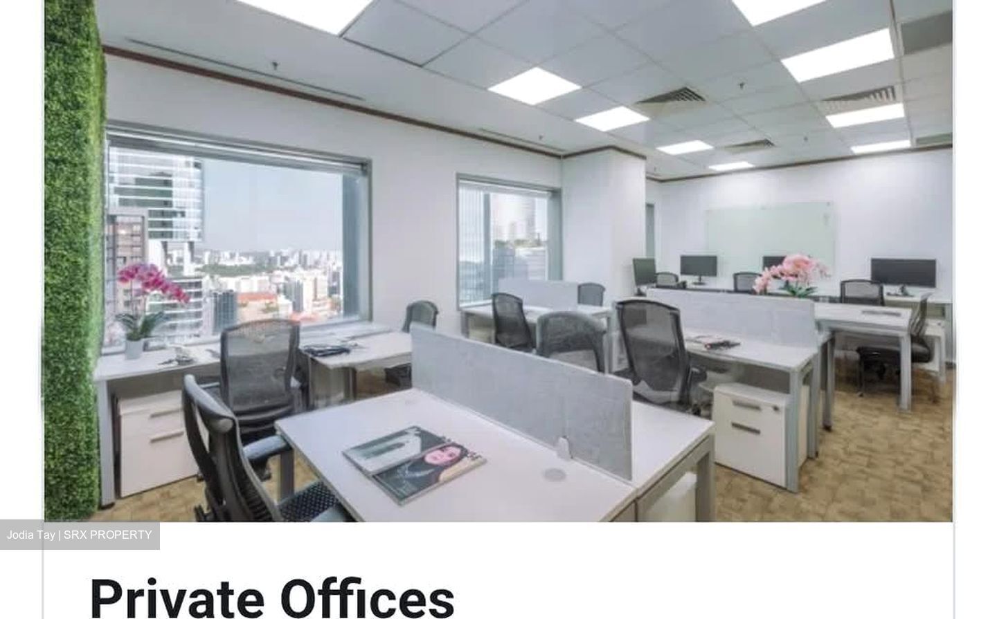 Bugis Junction (D7), Office #558257691